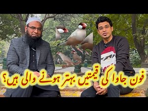 Java ka kya future ha?