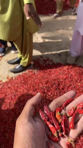 218K views · 5.2K reactions | 5-11-2025 Rate Update  21000 Just 15+...