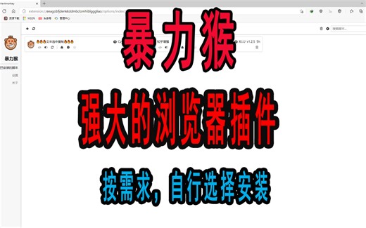 强大的浏览器插件：暴力猴安装流程和使用教程
