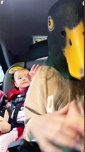 Hilarious Prank Ideas to Try on Friends