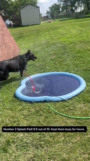 My German Shepherds Rates Their 3 Favorite Water Toys! 🐶💦
