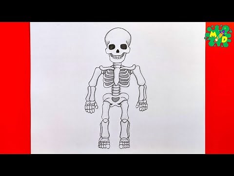 How to Draw a Human Skeleton (Full Body) - Step-by-Step Easy Drawing Tutorial!