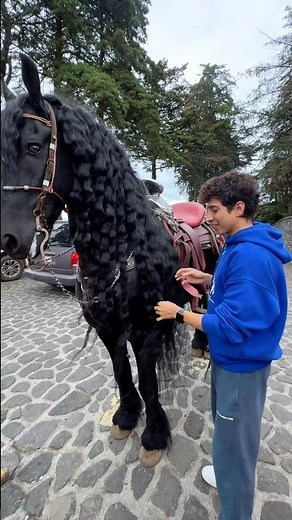 AMIGOS LES GUSTAN LOS CABALLOS ❤️🐎