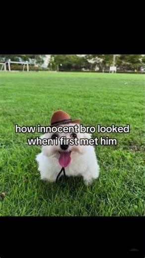 Bro’s true form is terrifying 😈🥶 #funny #relatable #memes #humor #shorts #schoolmemes