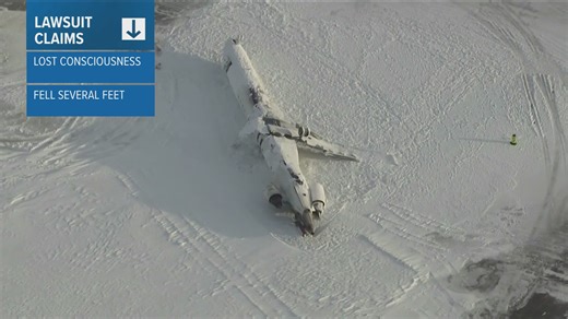 Endeavor Air employee sues over injuries suffered in Toronto crash