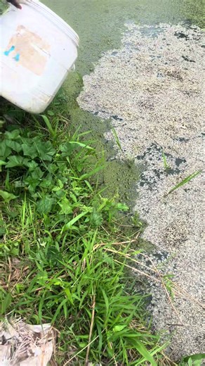 Celebrity Fishboy🐟🐠 (@fishboy15)’s videos with original sound - Celebrity Fishboy🐟🐠