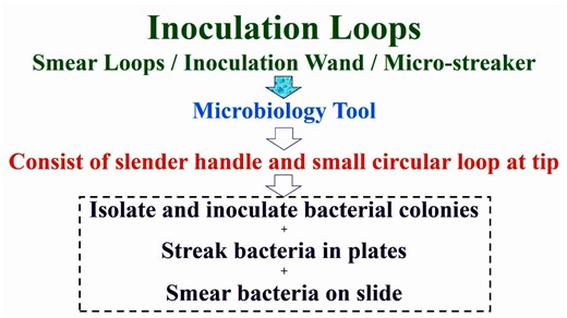 Principle and Types and Steps and Precautions of Inoculation Loops and Needles https://youtu.be/tw168eFWM3Q #geneticteacher | Genetic Teacher