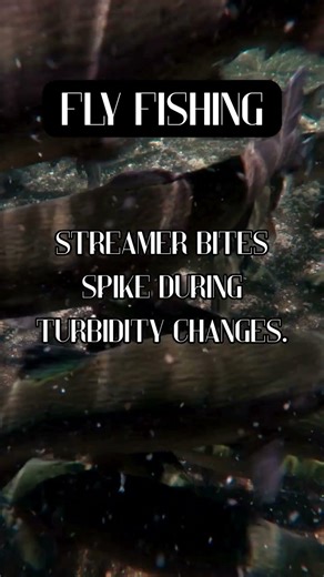 When Color Shifts, Streamers Start Getting Violent