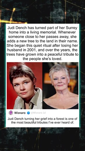 Judi Dench has turned part of her Surrey home into a living memorial Whenever someone close