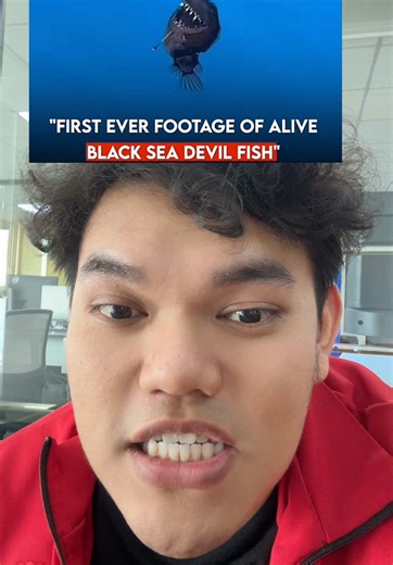 Black Devil Fish: Features and Habitats Explained