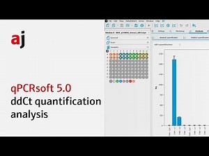 4. qPCRsoft 5.0 – ddCt quantification analysis