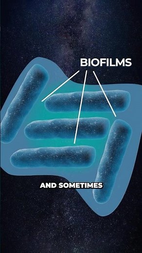 We Just Discovered 'Alien' Bacteria in Space