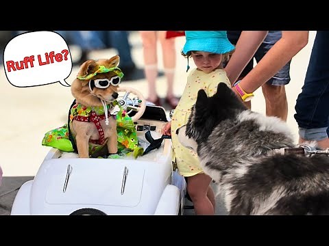 Beverly Hills Rodeo Drive, Concours Car Show 2025