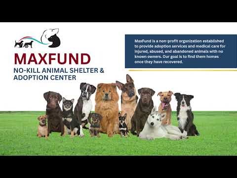 CRA MaxFund Reroof Community Service project