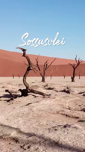 Go Big in Namibia with a 10- Day trip that will blow your mind. From Sossusvlei, to Damaraland and even the famous Etosha National Park. Book your trip now! https://gondwana-collection.com/en/go-big-explore-the-main-attractions #namibia #gondwanalodges #africa #sossusvlei #etosha | Gondwana Collection Namibia
