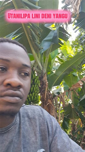 Musolini (@musolini4_2_0)’s videos with original sound - Musolini