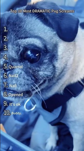 Top 10 Most DRAMATIC Pug Screams Ever!(Number 6 Broke Me)🐾🤣🤣 #foryou #dog #dogs