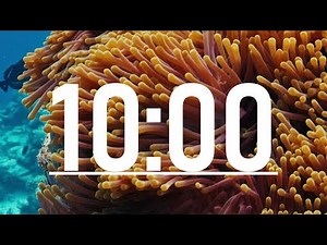 10 minute timer with beautiful Coral reef and Nemo fish