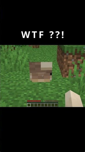 Minecraft wolf texture glitch #gaming #minecraft