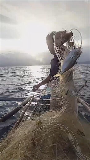 The fish turned white, they said, varando tv #short