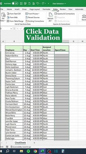 Data Validation in Excel‼️ #excel
