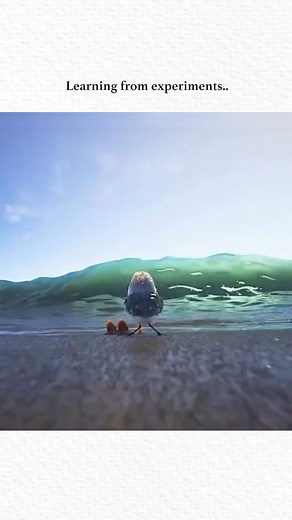 Clip Verse on Instagram: "🎬 Movie: Piper (2016) ⭐ Genre: Family | Adventure | Animation (Short Film) ⏱️ Runtime: 6 minutes 📚 Storyline: Piper is a stunning Pixar short film that follows a hungry baby sandpiper learning to overcome her fear of the ocean waves. With the help of an unexpected little friend, she discovers a new perspective on the shoreline and gains the confidence she needs to survive. Beautifully animated and emotionally uplifting, Piper is a simple yet powerful story about coura