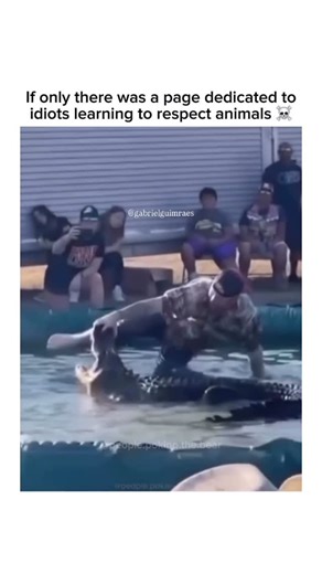 People Poking the Bear on Instagram: "An alligator, or colloquially gator, is a large reptile in the genus Alligator of the family Alligatoridae of the order Crocodilia. The two extant species are the American alligator (A. mississippiensis) and the Chinese alligator (A. sinensis). Additionally, several extinct species of alligator are known from fossil remains. Alligators first appeared during the late Eocene epoch about 37 million years ago. The name “alligator” is likely an anglicized form of