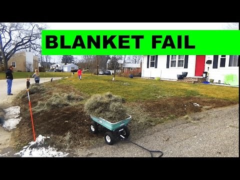 Seed Germination Blanket FAIL - Tearing up the germination blanket