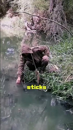 Using elastic potential energy to set traps. #satisfying #knowledge #facts