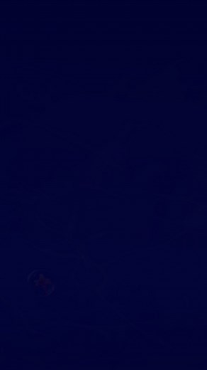 A love triangle unfolds when a young woman enters a secret plot—and a glittering romance competition—to free her people. | Underlined