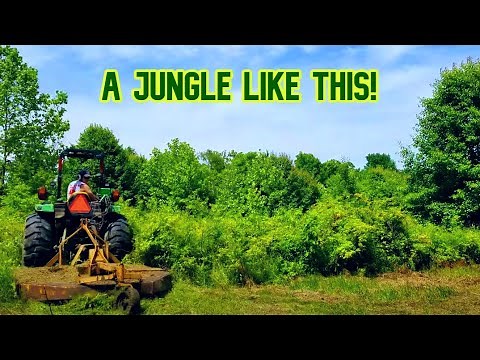 What can you cut with a Bushhog? (Rotary Mower/Cutter)