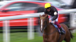 What a performance! 👏 Frankie Dettori and Stradivarius do it again, escaping trouble to land back-to-back Gold Cups 🏆🏆 | World Horse Racing