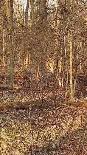 Captain red hawk 💥 restricted airspace