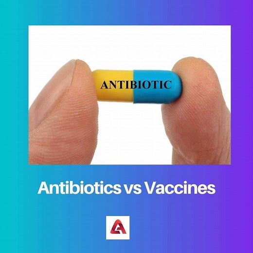 Antibiotics vs Vaccines: Difference and Comparison
