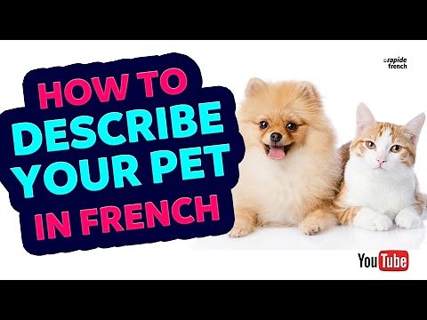 Animals: How to describe your pets in French