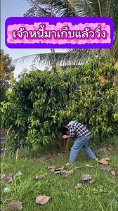 Brutal bookmaker #fypシ゚viral #haha #funny