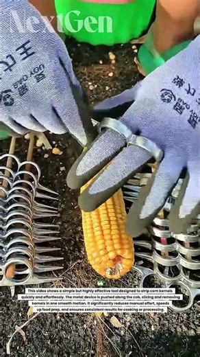 This Genius Corn Stripper Tool Removes Kernels in Seconds!
