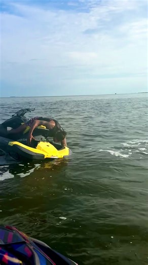 Understanding Spark Life and Seaweed Adventures