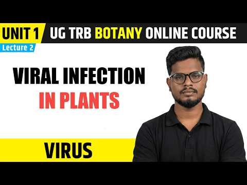 Viral Infection in Plants | Virus in Tamil (2) | UG TRB Botany Course