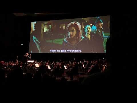 Harry Potter and the Order of the Phoenix in concert - Flight Of The Order Of The Phoenix