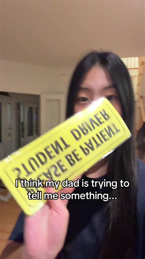 Driving Lessons: A Sibling's Unexpected Surprise