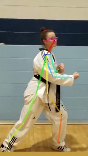 Pose Estimation using Deep Learning on Taekwondo