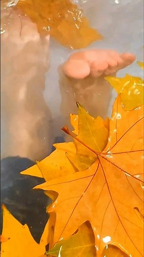 Feet Under The Water 🍁 ASMR
