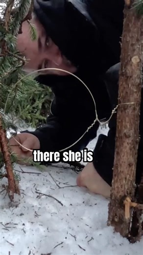 Making a survival rabbit snare with brass wire 🐇