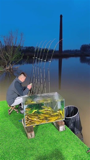 Vừa câu cá vừa điện thoại câu bè 6 cần cắm - funny fishing #34 #fishingfun #fishing #shorts