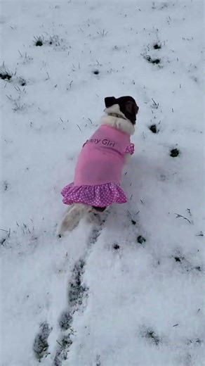 Running in Spring snow