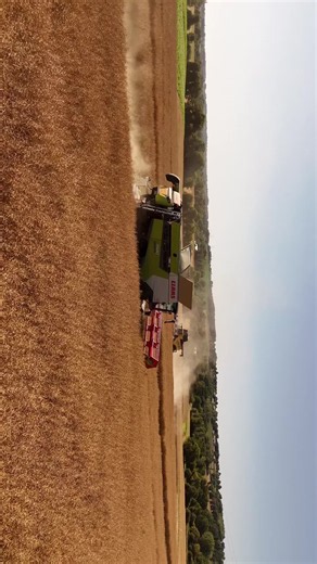 Moisson 2026 : moisson colza avec Claas, New Holland et Valtra