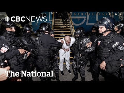 Trump starts clash with courts by using Alien Enemies Act