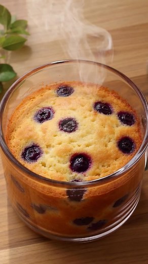 Blueberry Oat Mug Cake Recipe — Quick Microwave Dessert