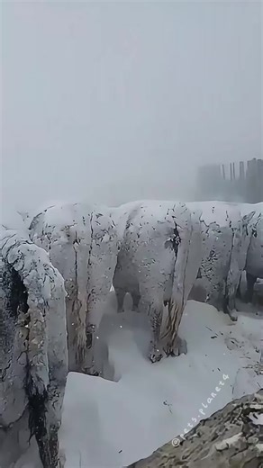 Exploring Fascinating Ice Patterns in Nature